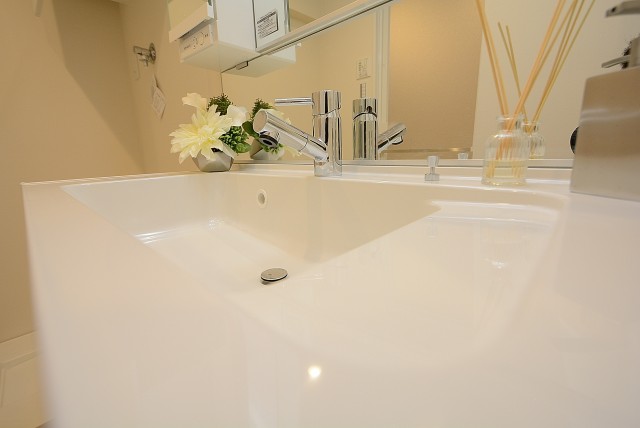 秀和椎名町レジデンス 洗面