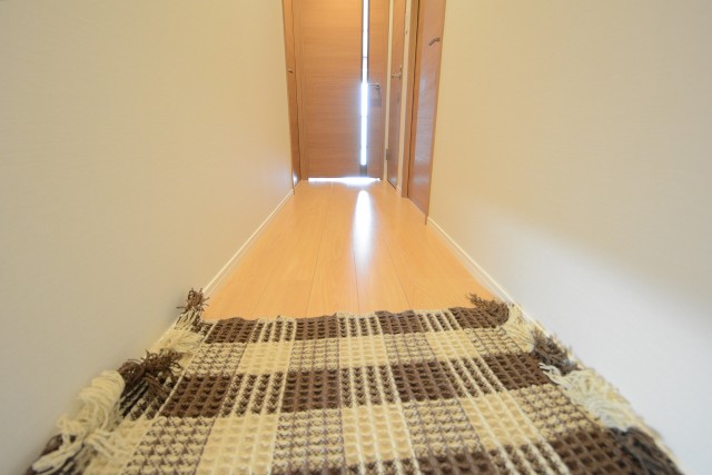 セザールリバーサイド上野毛 玄関