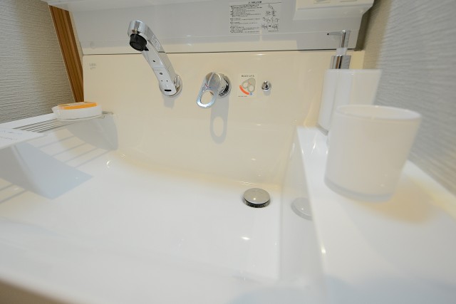 セザールリバーサイド上野毛 洗面