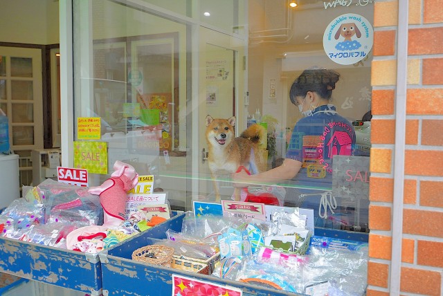 ライオンズマンション中目黒