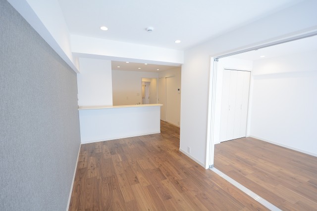 上野毛リッツハウス LD