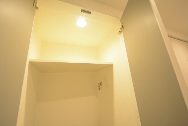 秀和目黒レジデンス 洗濯機置場