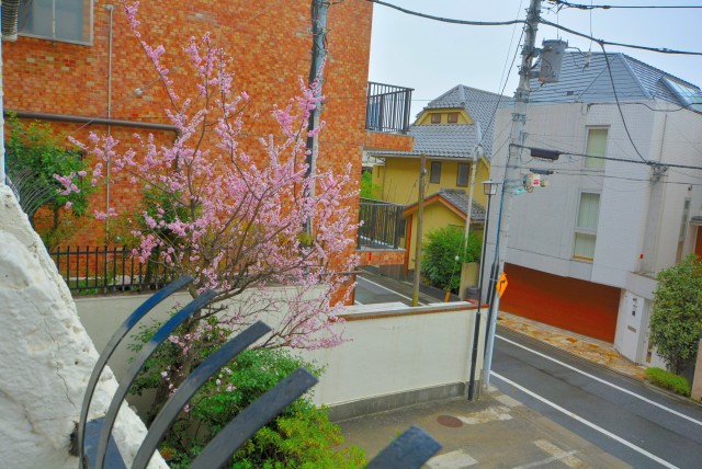 秀和目黒レジデンス バルコニー