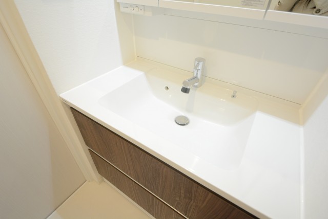 秀和目黒レジデンス 洗面