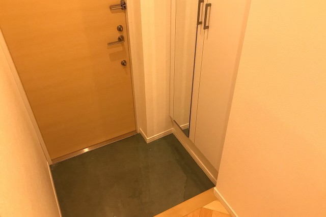 マンション市ヶ谷 (20)玄関