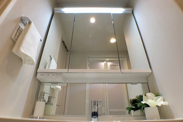 上池袋グリーンハイツ 洗面