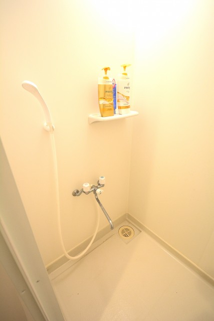 パラッツォ赤坂 シャワー (4)