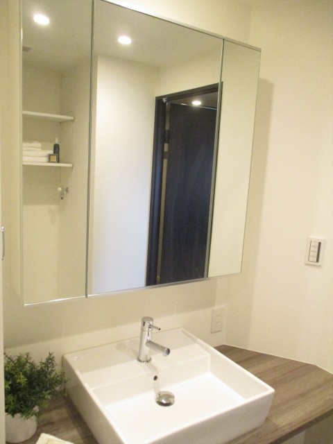 シャンボール学芸大学 洗面