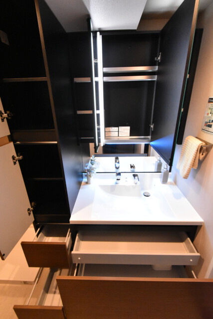 ハイツ赤坂 洗面室