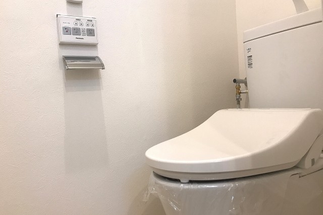 マンション市ヶ谷 (92)トイレ