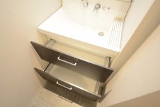 三軒茶屋パーク・ホームズ 洗面室