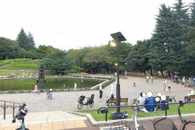 世田谷公園 