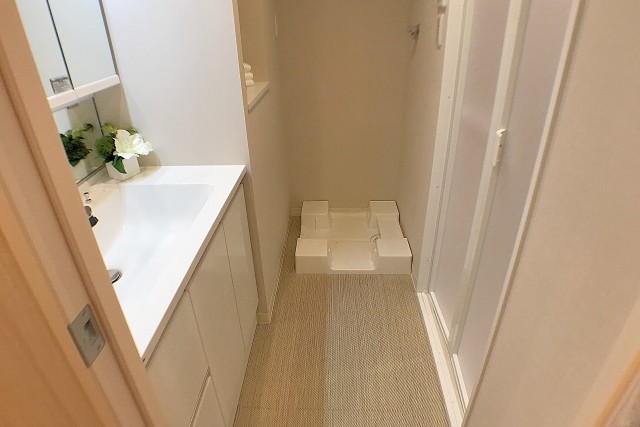 上池袋グリーンハイツ 洗面