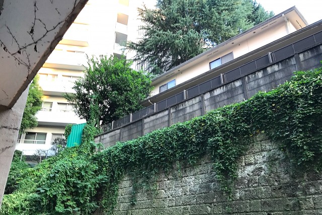 コーポ麹町 (85)外