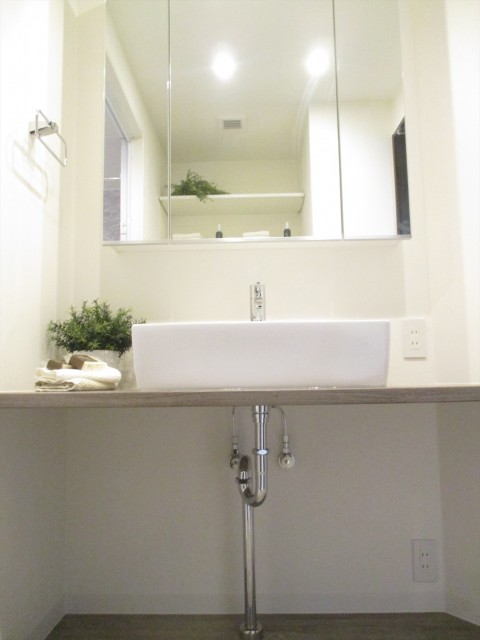 シャンボール学芸大学 洗面