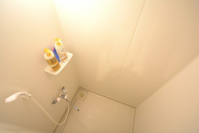 パラッツォ赤坂 シャワー (5)
