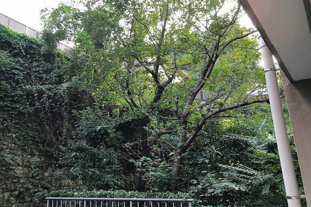 コーポ麹町 (84)外