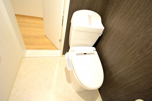 パラッツォ赤坂 トイレ (4)