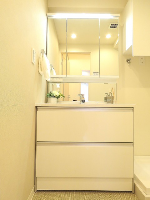 デボスハイツ　洗面化粧台
