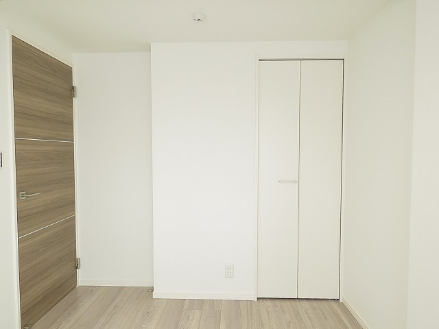 都立大コーポラス　洋室約4.8帖扉