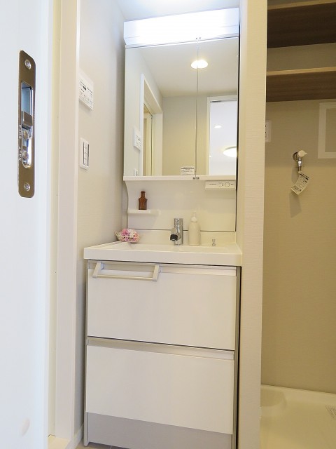 ラフィネ東銀座　洗面化粧台