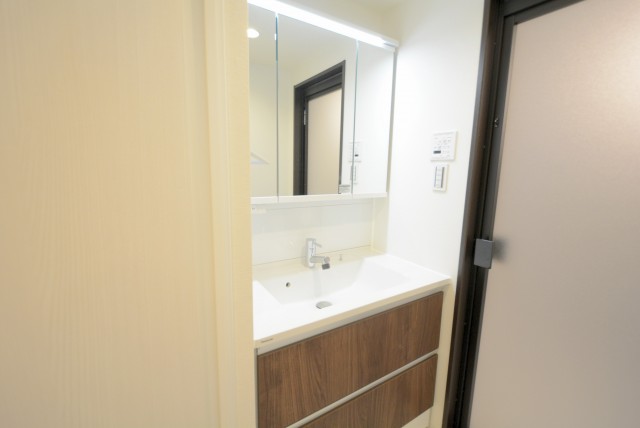 秀和目黒レジデンス 洗面