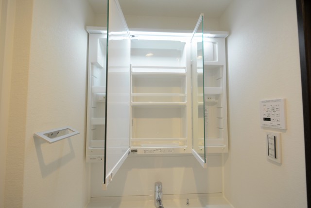 秀和目黒レジデンス 洗面