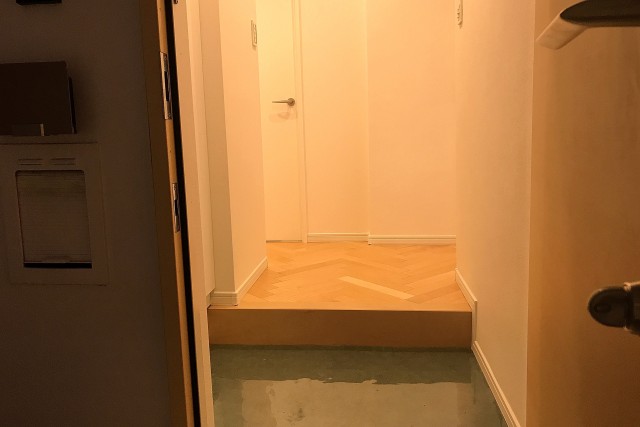 マンション市ヶ谷 (13)玄関