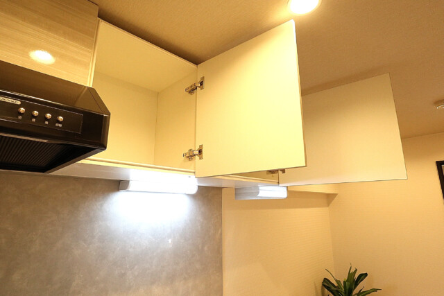 コーポ麹町 (8)DK