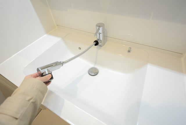 秀和目黒レジデンス 洗面