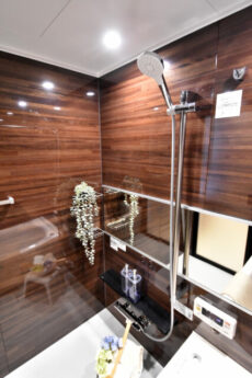 ハイツ赤坂 浴室