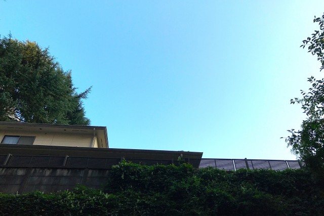 コーポ麹町 (86)外