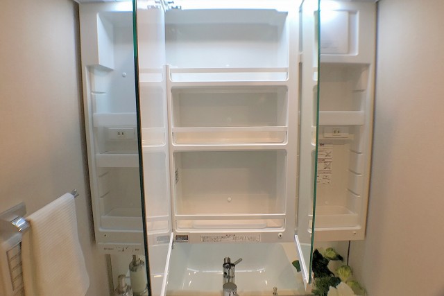 上池袋グリーンハイツ 洗面