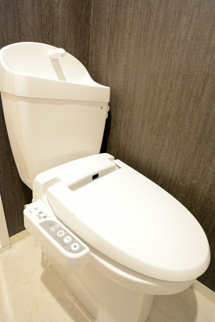 パラッツォ赤坂 トイレ (1)