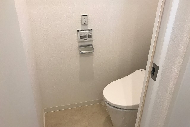 マンション市ヶ谷 (88)トイレ