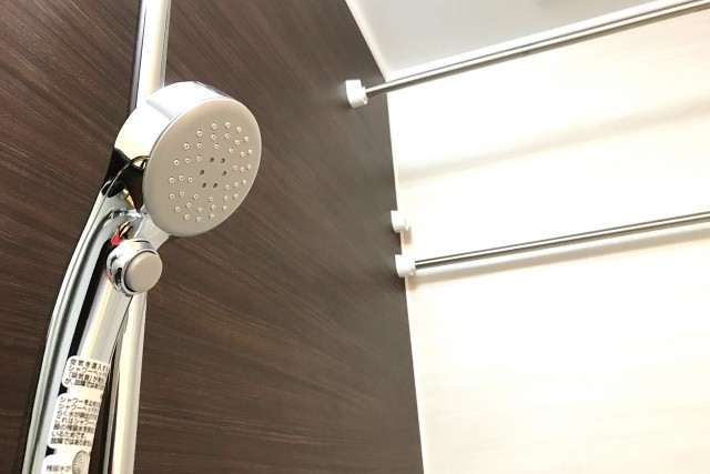 コーポ麹町 (66)バス