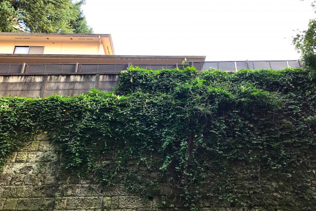 コーポ麹町 (83)外