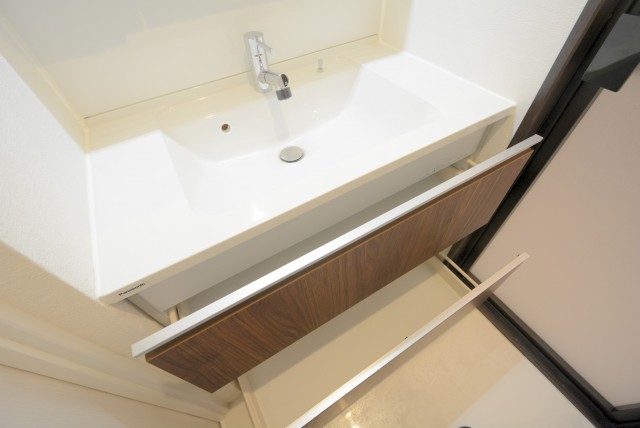 秀和目黒レジデンス 洗面