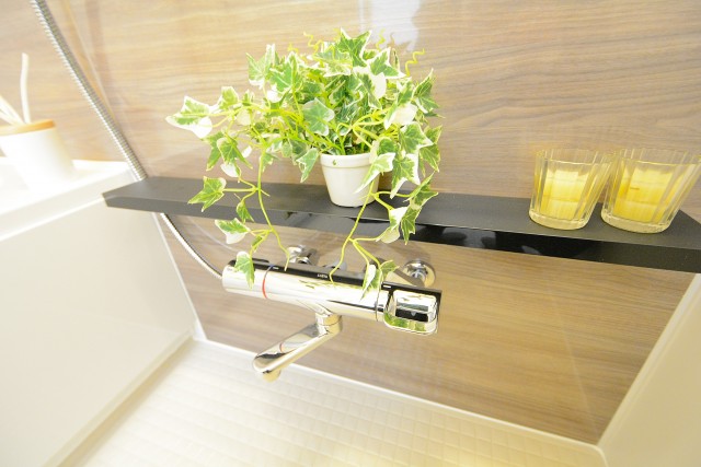 シャトレー駒沢 (66)バス