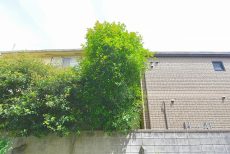 桜丘フラワーマンション バルコニー