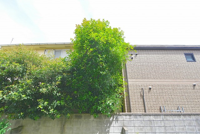 桜丘フラワーマンション バルコニー