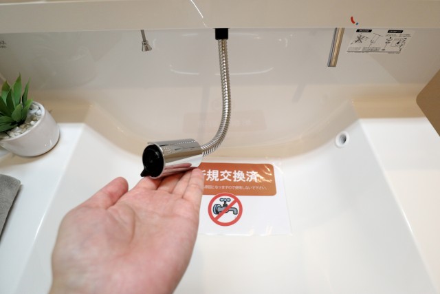 ＮＩＣハイム西蒲田 洗面