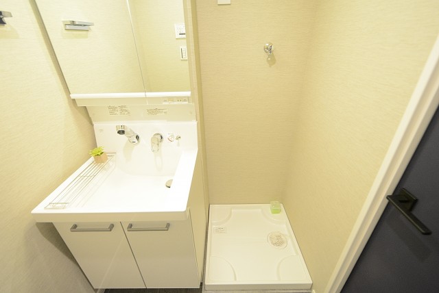 グリーンヒル新宿 (60)洗面