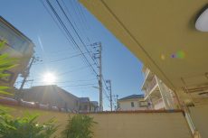 桜丘フラワーマンション 庭