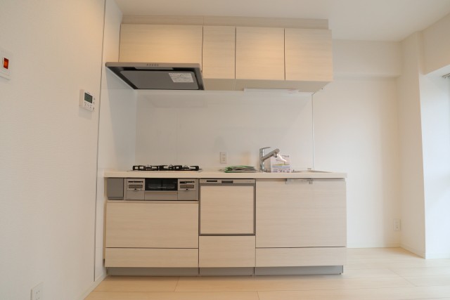 東大井スカイハイツ キッチン