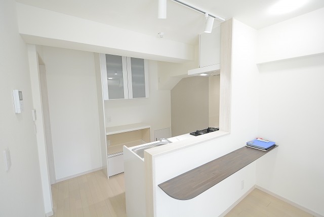 柿の木坂パレス キッチン