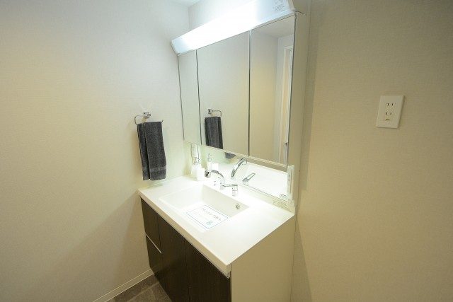 グリュック二子玉川 洗面