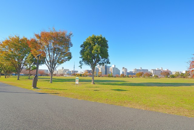 大島小松川公園