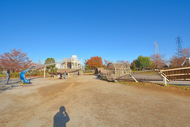 大島小松川公園