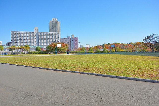 大島小松川公園